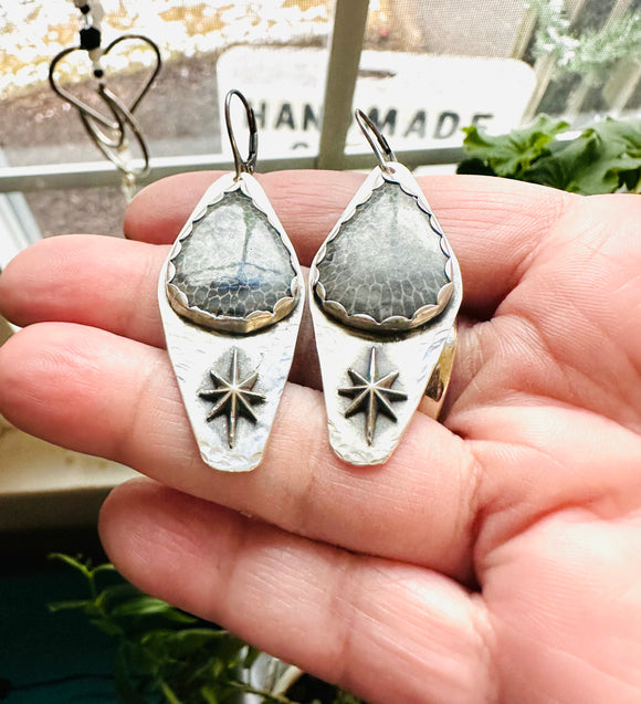 Fossil Earrings, Silver Star and Fossil Earrings