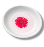 Mini Ring Dish/Trinket Dish/Decor