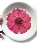 Ring Dish/Trinket Dish/Decor*