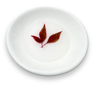 Mini Ring Dish/Trinket Dish/Decor - Janine Design