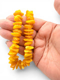 Amber Collection