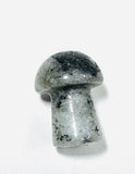 Tiny Gemstone mushrooms