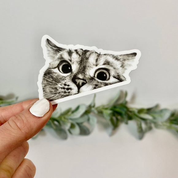 Peeking Cat Stickers - Janine Design