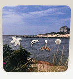 A square Earring Card with rounded corners featuring a coastal beach scene with a house, dunes, water, and sky. Sterling stud collection of four different s tuds- a white starfish, a silver dolphin, a silver tail fin, and a silver clam shell.
