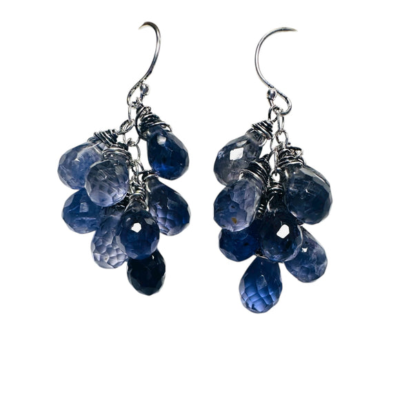 Pair of blue beaded earrings on a white background