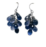 Pair of blue beaded earrings on a white background
