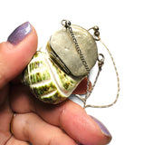 Hand holding a decorative shell with a silver clasp against a white background
