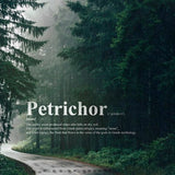 Petrichor - /ˈpetrīˌkôr/ - The Smell of Rain - REED DIFFUSER - Janine Design