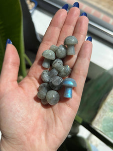 Labradorite Crystal Mini Mushroom - Janine Design