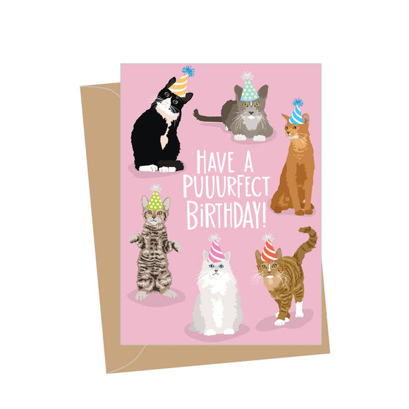 Mini Birthday Cats, Folded Enclosure Cards