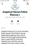 Cat Donation Bracelet/ Partial Proceeds go to Cat Shelters