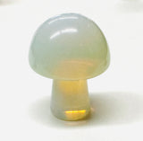 Tiny Gemstone mushrooms