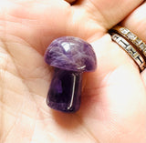 Tiny Gemstone mushrooms