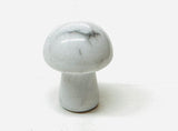 Tiny Gemstone mushrooms
