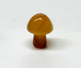 Tiny Gemstone mushrooms