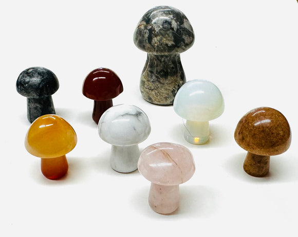 Tiny Gemstone mushrooms