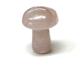 Tiny Gemstone mushrooms