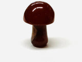 Tiny Gemstone mushrooms